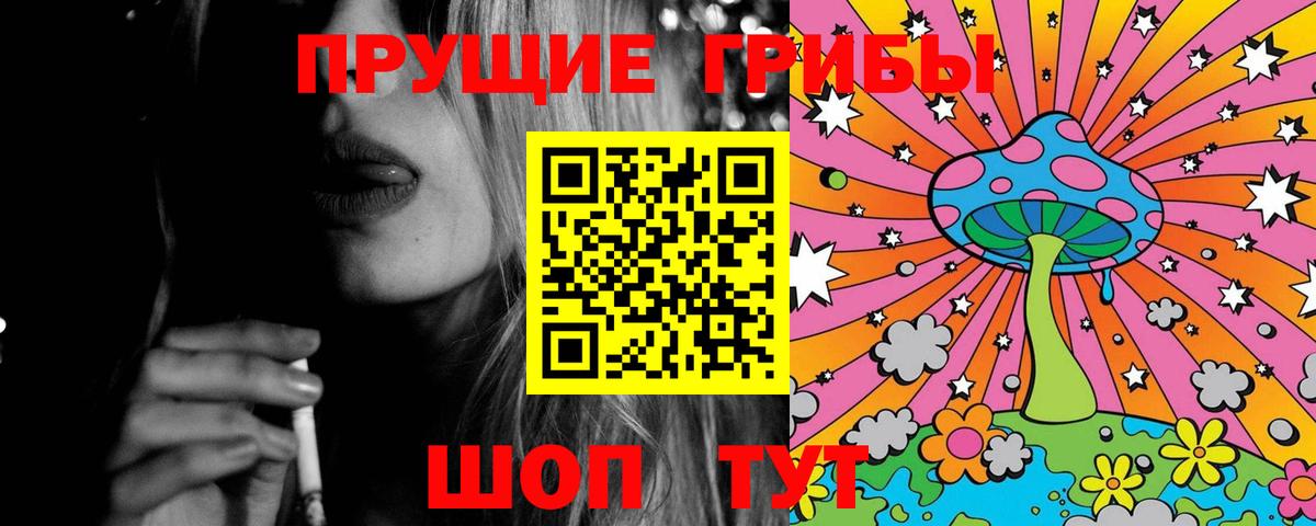 Псилоцибиновые грибы Psilocybe Баксан