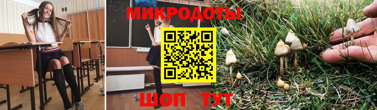 Баксан  Псилоцибиновые грибы Psilocybine cubensis  Вход с VPN  Псилоцибиновые грибы прущие грибы 