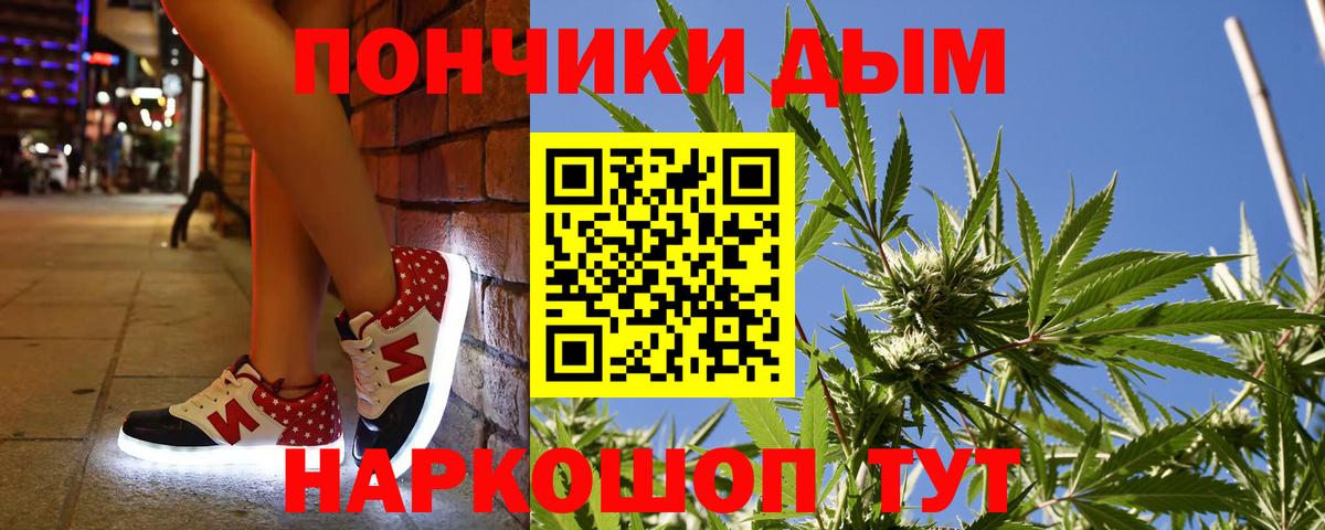 Канабис планчик Баксан